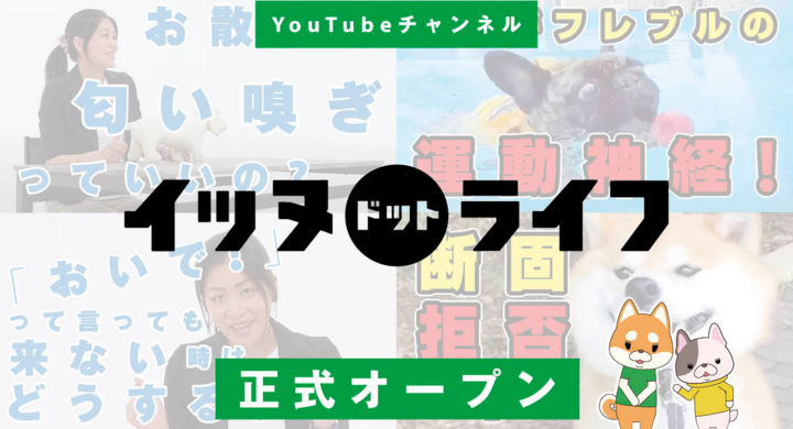 犬専門youtubeチャンネル イッヌドットライフ を正式オープン 専門家によるお役立ち情報や 人気インスタグラマー動画 内山勇士監督の新作などを収録 モバーシャル株式会社のプレスリリース 犬専門youtubeチャンネル イッヌドットライフ を正式オープン 専門家によるお役立ち情報や 人気インスタグラマー動画 内山勇士監督の新作などを収録 モバーシャル株式会社のプレスリリース