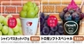 株式会社GIコンサルティングパートナーズのプレスリリース2