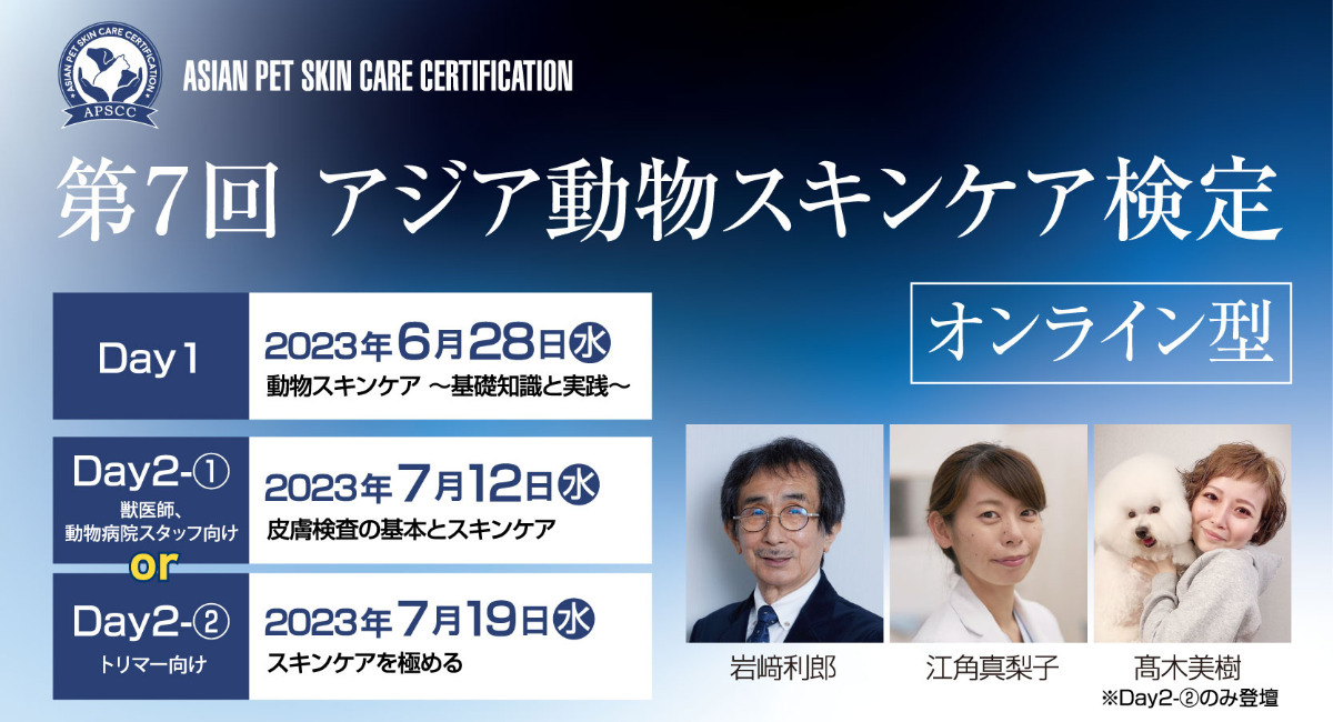 アイキャッチ画像