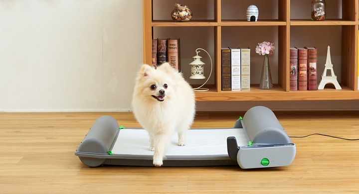 ロール式自動犬トイレ ブリリアントパッドsmartが発売されました 株式会社オーエフティーのプレスリリース ロール式自動犬トイレ ブリリアントパッドsmartが発売されました 株式会社オーエフティーのプレスリリース