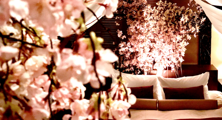 バリアン新宿本店 日本一早い 桜を見る会 ホテルの客室に 生花の桜が咲いた インドア花見つき お泊まり女子会プラン 予約受付開始 株式会社サンザのプレスリリース