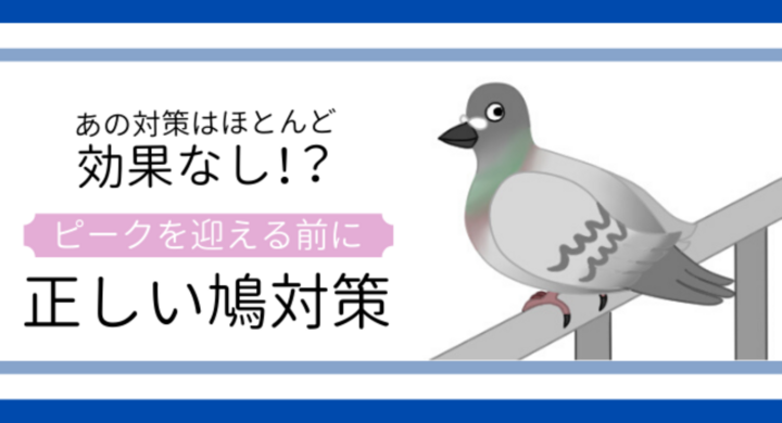 8割以上は個人宅 鳩の被害相談に関する実態調査 専門業者10社に聞いた鳩対策 シェアリングテクノロジー株式会社のプレスリリース 8割以上は個人宅 鳩の被害相談に関する実態調査 専門業者10社に聞いた鳩対策 シェアリングテクノロジー株式会社のプレスリリース