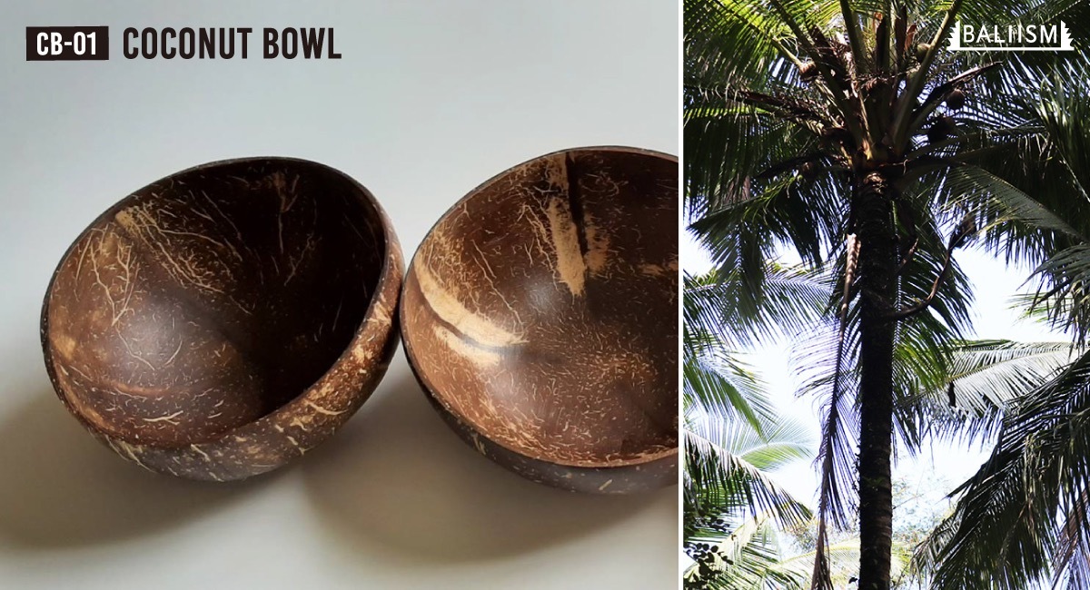 COCONUT BOWL 』- ココナッツの殻から作られたナチュラルな器 発売開始