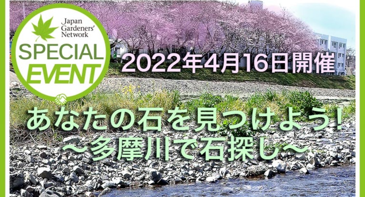 庭石、大きな青石。他にも大きな石あります。庭をつくる方、業者の方募集 - その他