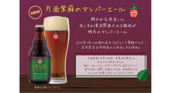 【ベアレン醸造所】岩手県宮古市特産「川井赤しそ」を使用した新たな地域連携ビール「片面紫蘇のアンバーエール」が新登場!