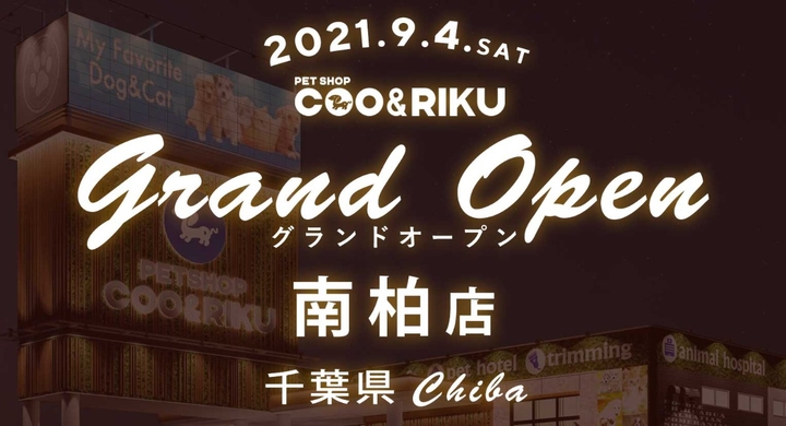 ペットショップcoo Riku南柏店 9月4日 土 グランドオープン 有限会社 Coo Rikuのプレスリリース ペットショップcoo Riku南柏店 9月4日 土 グランドオープン 有限会社 Coo Rikuのプレスリリース