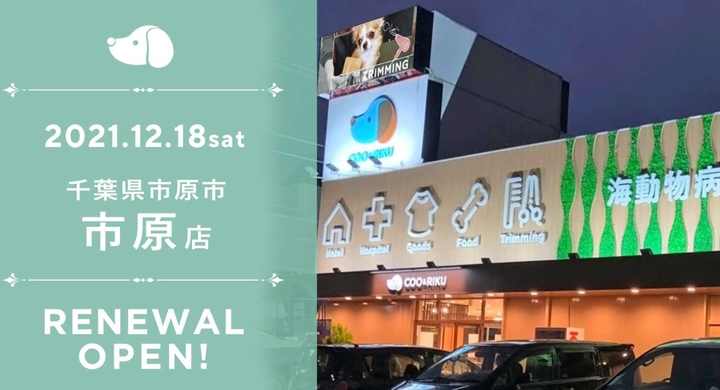 ペットショップcoo Riku市原店 12月18日 土 リニューアルオープン 有限会社 Coo Rikuのプレスリリース ペットショップcoo Riku市原店 12月18日 土 リニューアルオープン 有限会社 Coo Rikuのプレスリリース