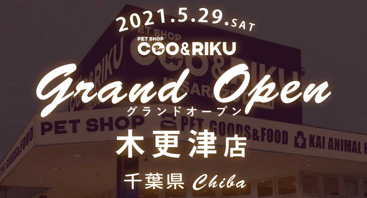 日本国内2店舗目 5月29日 土 ペットショップcoo Riku木更津店 がグランドオープン 有限会社 Coo Rikuのプレスリリース