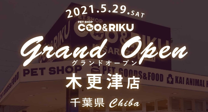 日本国内2店舗目 5月29日 土 ペットショップcoo Riku木更津店 がグランドオープン 有限会社 Coo Rikuのプレスリリース 日本国内2店舗目 5月29日 土 ペットショップcoo Riku木更津店 がグランドオープン 有限会社 Coo Rikuのプレスリリース