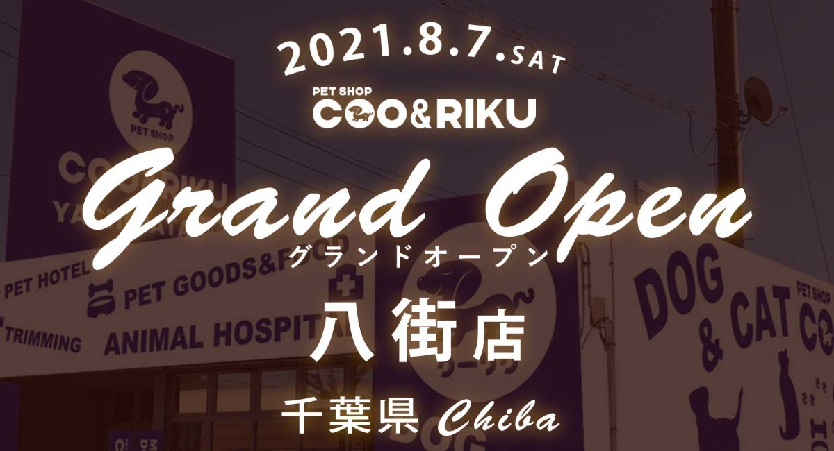 Grand Open ペットショップcoo Riku八街店 8月7日 土 千葉県内11店舗目となる新店舗オープン 有限会社 Coo Rikuのプレスリリース