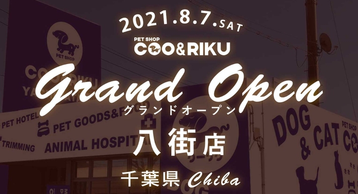 Grand Open ペットショップcoo Riku八街店 8月7日 土 千葉県内11店舗目となる新店舗オープン 有限会社 Coo Rikuのプレスリリース Grand Open ペットショップcoo Riku八街店 8月7日 土 千葉県内11店舗目となる新店舗オープン 有限会社 Coo Rikuのプレスリリース