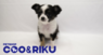 有限会社 Coo&RIKUのプレスリリース15