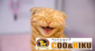 有限会社 Coo&RIKUのプレスリリース1