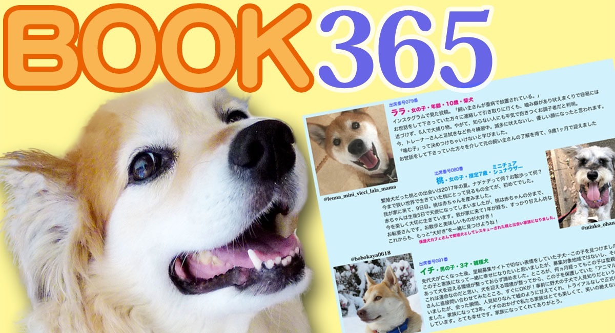 保護犬 元保護犬 365匹の感動のエピソードをまとめた電子書籍 Kindle版 が絶賛発売中 一般社団法人 保護犬のわんこのプレスリリース