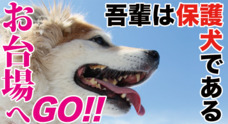 一般社団法人 保護犬のわんこのプレスリリース