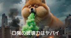 ドッグダイナー株式会社のプレスリリース
