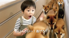 ドッグダイナー株式会社のプレスリリース