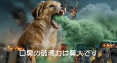 ドッグダイナー株式会社のプレスリリース