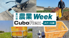 株式会社CuboRexのプレスリリース