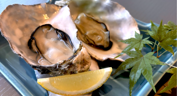 穴子に牡蠣に牛コウネ!広島食材をモダン和食で。『和Bistro さくら』がreDine広島に11/1オープン