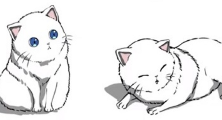 世界猫の日 に 24時間生放送 猫 アニメ 快眠音楽 Youtubeチャンネル開設 株式会社ローズクリエイトのプレスリリース