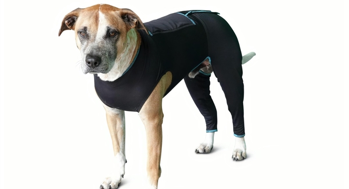 世界で待望 米国benefab ベネファブ 社の犬用コンフォートスーツが発売開始 株式会社ローズクリエイトのプレスリリース 世界で待望 米国benefab ベネファブ 社の犬用コンフォートスーツが発売開始 株式会社ローズクリエイトのプレスリリース