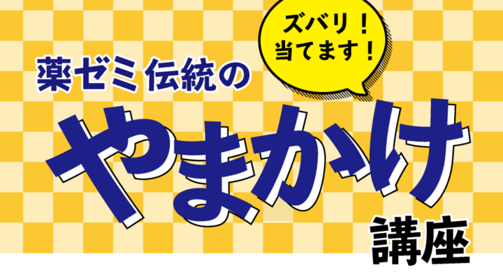 106 回 薬剤師 国家 試験 国家 薬剤師 試験 回 106