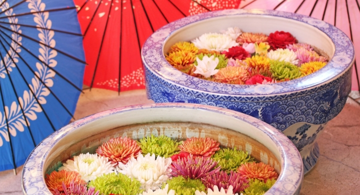 春の訪れに合わせ 箱根湯本の 牛なべ 右近 にて 箱根の旅人へ 花手水と和傘を飾り付けたフォトジェニックで癒しの空間を提供 株式会社jsフードシステムのプレスリリース 春の訪れに合わせ 箱根湯本の 牛なべ 右近 にて 箱根の旅人へ 花手水と和傘を飾り付けたフォトジェニックで癒しの空間を提供 株式会社jsフードシステムのプレスリリース