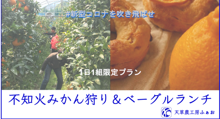 天草よりポケマル 新型コロナを吹き飛ばせ 企画に参加します 小学生以下無料 みかん収穫体験1枠1組限定 Fao Agrocommunicationのプレスリリース