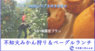 fao agrocommunicationのプレスリリース4