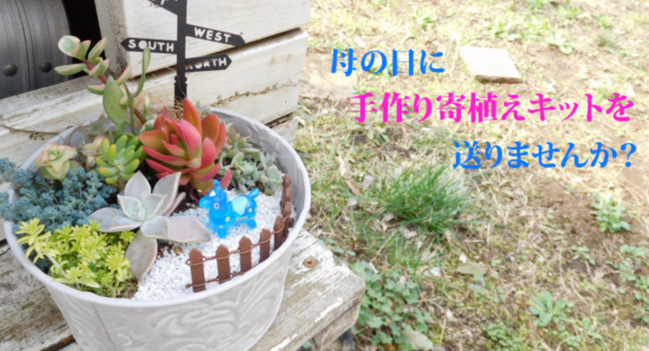 母の日限定 手づくりキット 多肉植物 サボテン寄植え ハーバリウム お家を楽しもう コロナに負けるな 株式会社モントルロロイのプレスリリース 母の日限定 手づくりキット 多肉植物 サボテン寄植え ハーバリウム お家を楽しもう コロナに負けるな 株式会社モントルロロイのプレスリリース