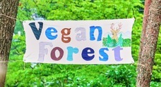 VeganForest実行委員会のプレスリリース