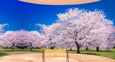 未来を担う「卒業生」「新入生」「新社会人」にこのコロナ禍に於いて何ができるかを考えました!