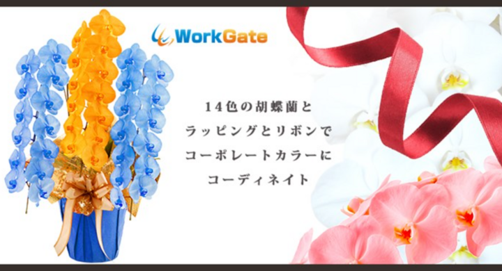 コーポレートカラーに合わせた胡蝶蘭 をご提案 お届けするサービスを開始 胡蝶蘭とラッピングやリボンの組み合わせで 全686パターン の胡蝶蘭を贈ることが可能 ワークゲート株式会社のプレスリリース コーポレートカラーに合わせた胡蝶蘭 をご提案 お届けするサービスを開始 胡蝶蘭とラッピングやリボンの組み合わせで 全686パターン の胡蝶蘭を贈ることが可能 ワークゲート株式会社のプレスリリース