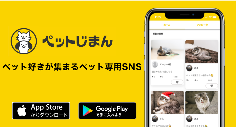 ペット投稿専用snsアプリ ペットじまん Ios Android にて配信を開始しました ペットじまん運営事務局のプレスリリース