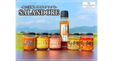 SALANDOREのプレスリリース