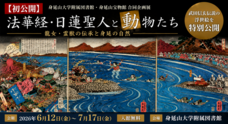 山梨ニュース～YAMANASHI NEWS～のプレスリリース
