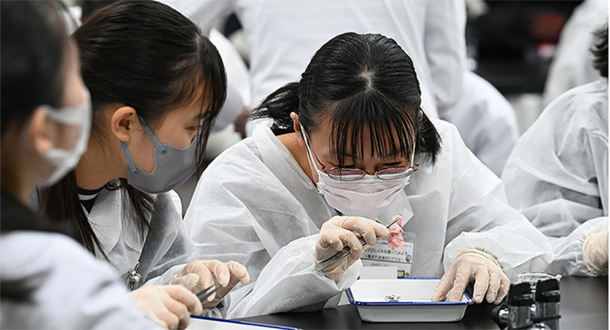 アイキャッチ画像