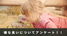 デジタルレクリム株式会社のプレスリリース10