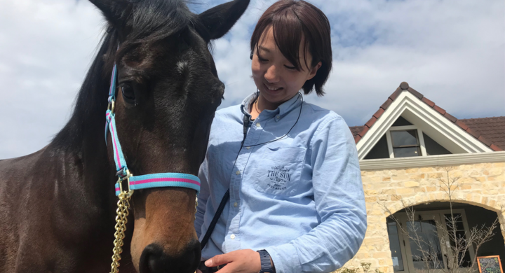 競走馬になれなかったサラブレッドをみんなで育てるプロジェクトが始動 クラウドファンディング型コミュニティ 馬旅倶楽部 のパトロンが100人突破 ホースパートナーズのプレスリリース 競走馬になれなかったサラブレッドをみんなで育てるプロジェクトが始動 クラウドファンディング型コミュニティ 馬旅倶楽部 のパトロンが100人突破 ホースパートナーズのプレスリリース