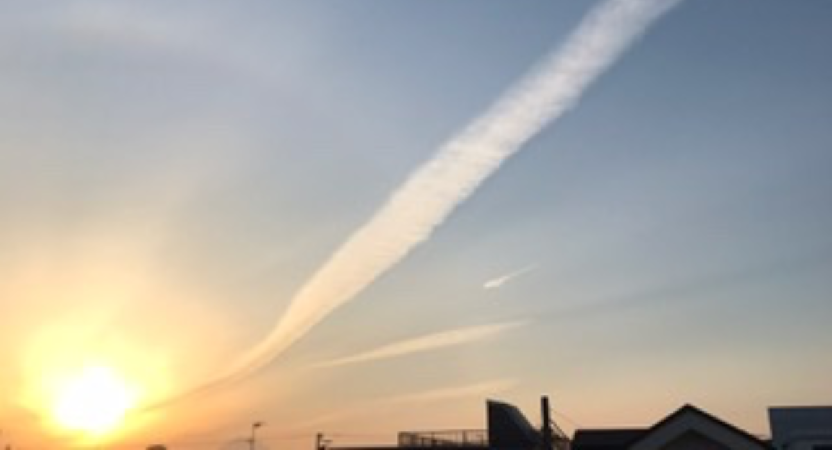 アイキャッチ画像