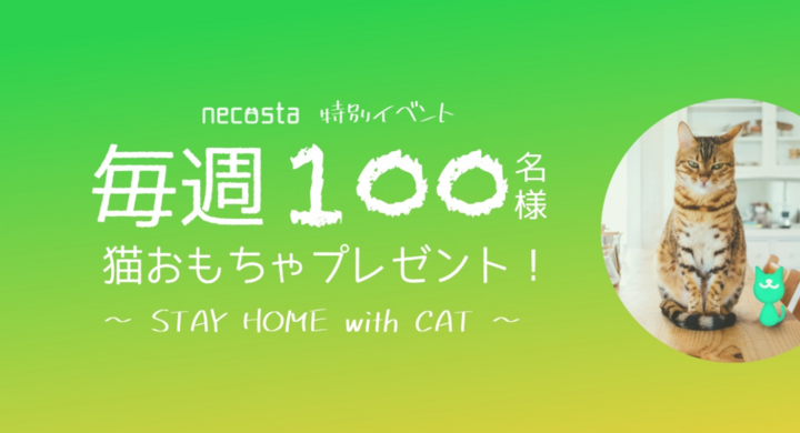 愛猫との Stay Home を満喫 毎週100名様に猫おもちゃをプレゼント 猫好き専用snsアプリ ねこすた 株式会社funseekのプレスリリース 愛猫との Stay Home を満喫 毎週100名様に猫おもちゃをプレゼント 猫好き専用snsアプリ ねこすた 株式会社funseekのプレスリリース