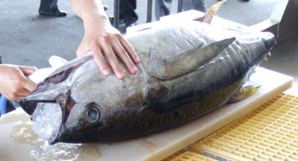 アイキャッチ画像