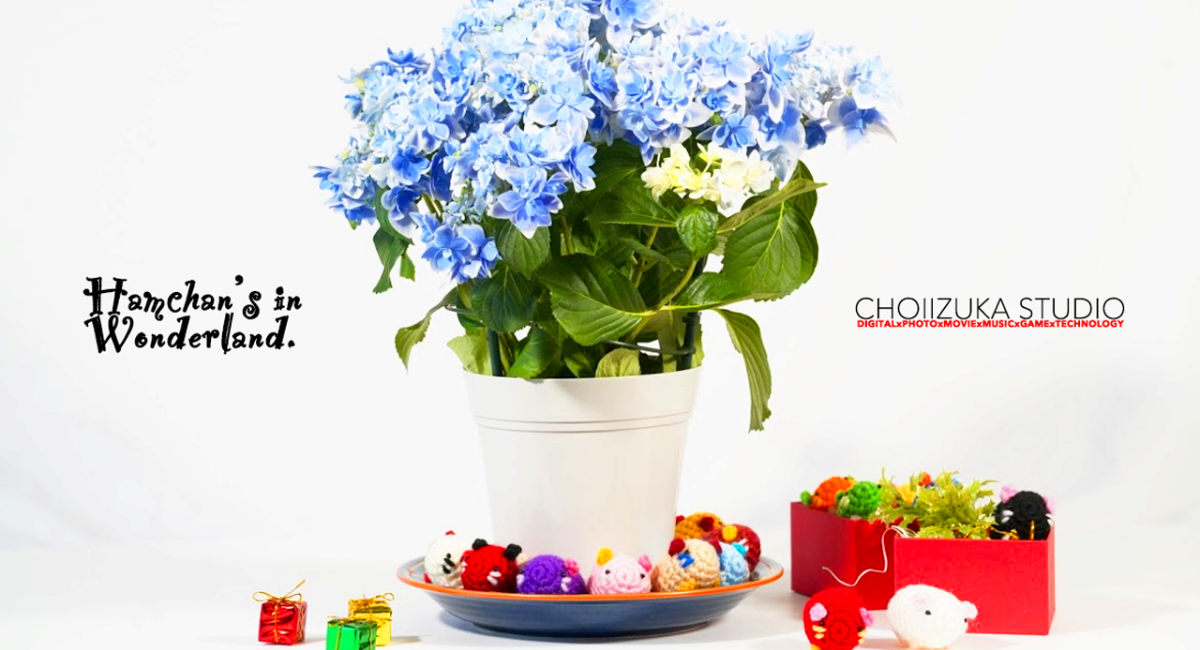 アイキャッチ画像