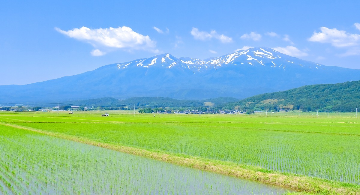 アイキャッチ画像