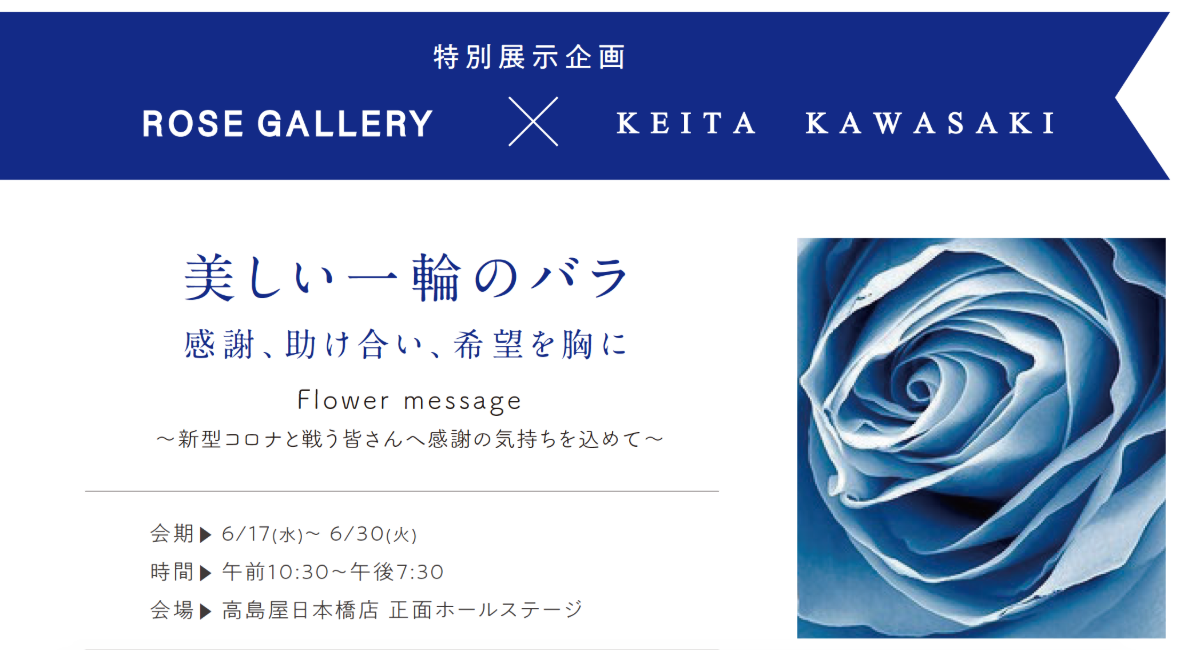 特別展示企画 Rose Gallery Keita Kawasaki 美しい一輪のバラ 感謝 助け合い 希望を胸に Flower Message 株式会社ktionのプレスリリース