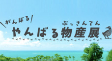 虹色黒目園のプレスリリース