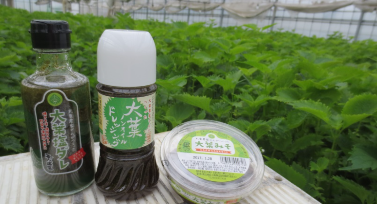 広島県で有機農産物の大葉を栽培する「株式会社出来商店」が、ファーム