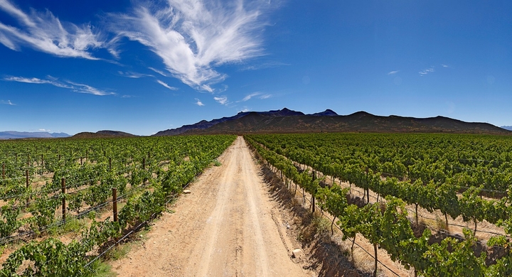 南アフリカ最高評価のスパークリングに選出！ジェームス・ボンドも絶賛したスパークリングワイン、グラハム・ベック・ワインズ「キュヴェ・クライヴ  2015」が快挙達成 - 株式会社モトックスのプレスリリース