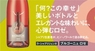 株式会社モトックスのプレスリリース5